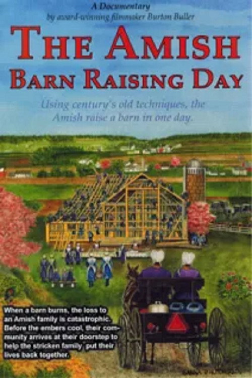 The Amish: Barn Raising Day (2013) poster