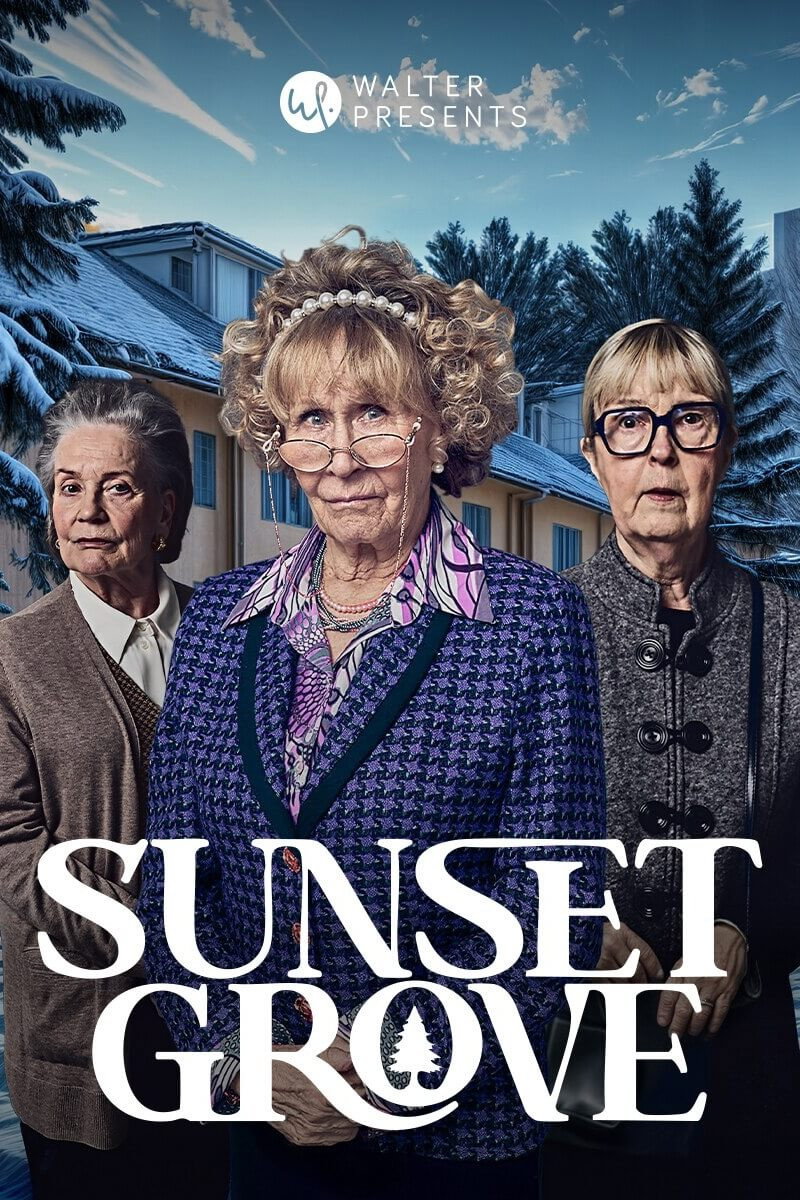 Sunset Grove (2025) poster