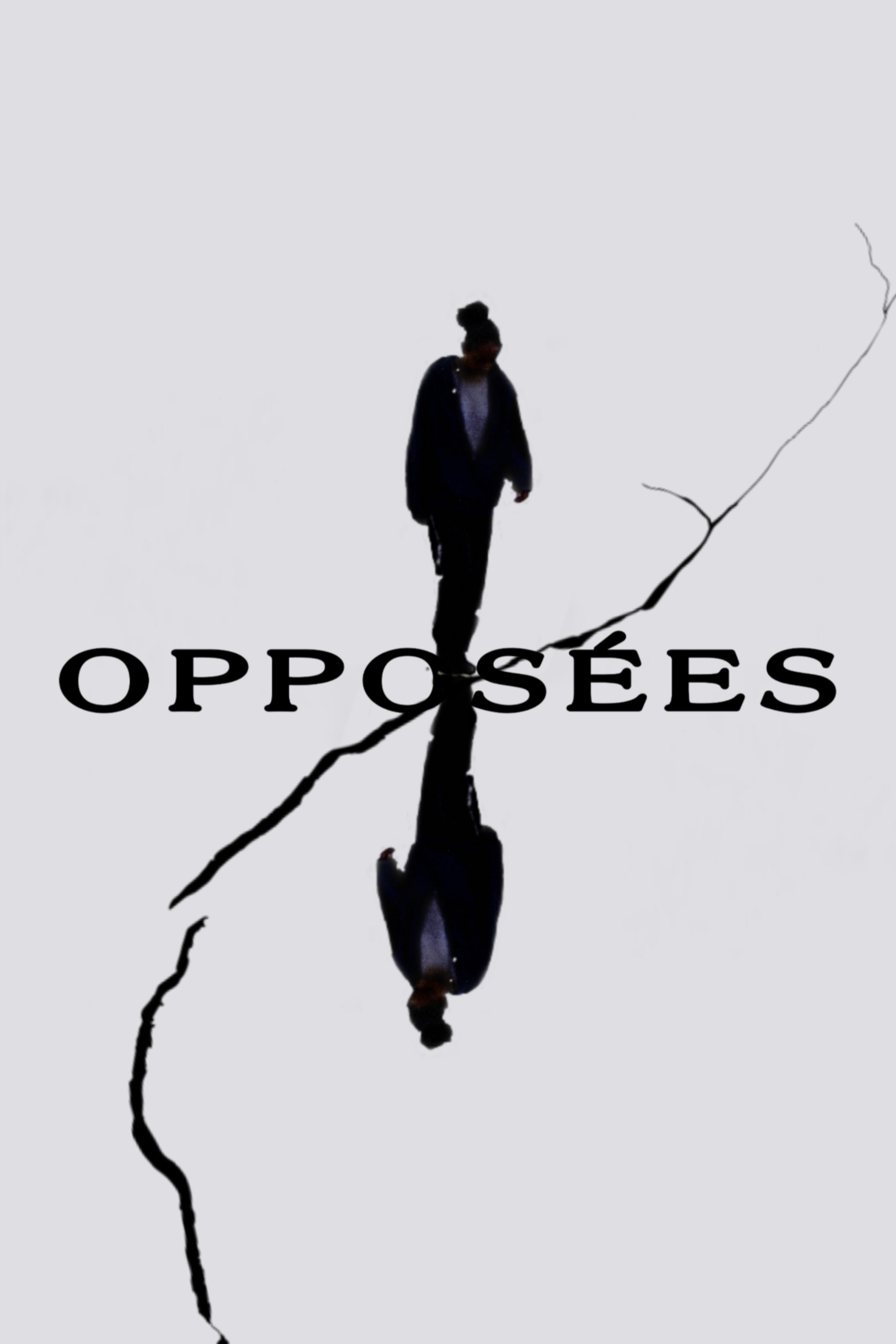Opposites (2022) poster