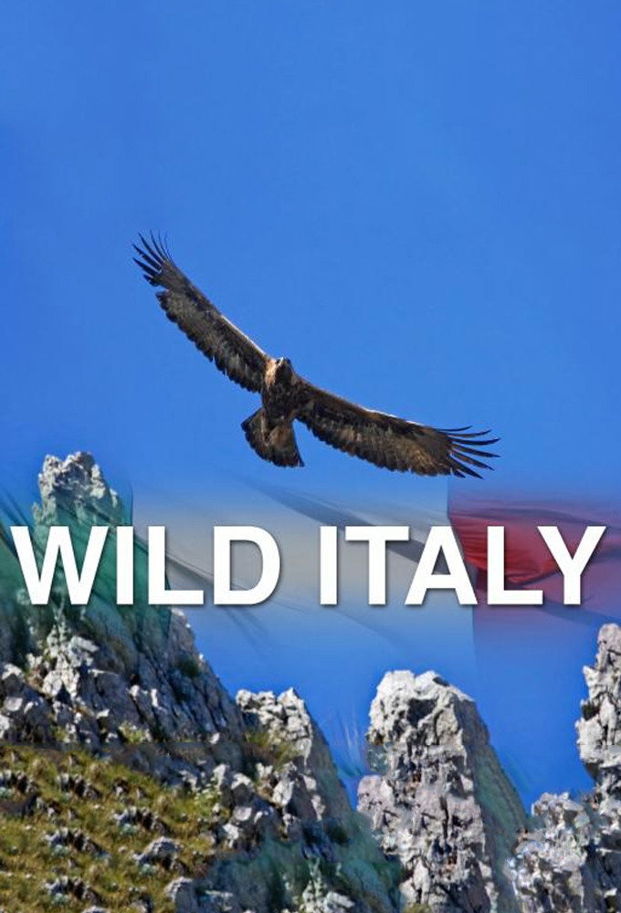 Wild Italy (2014) poster