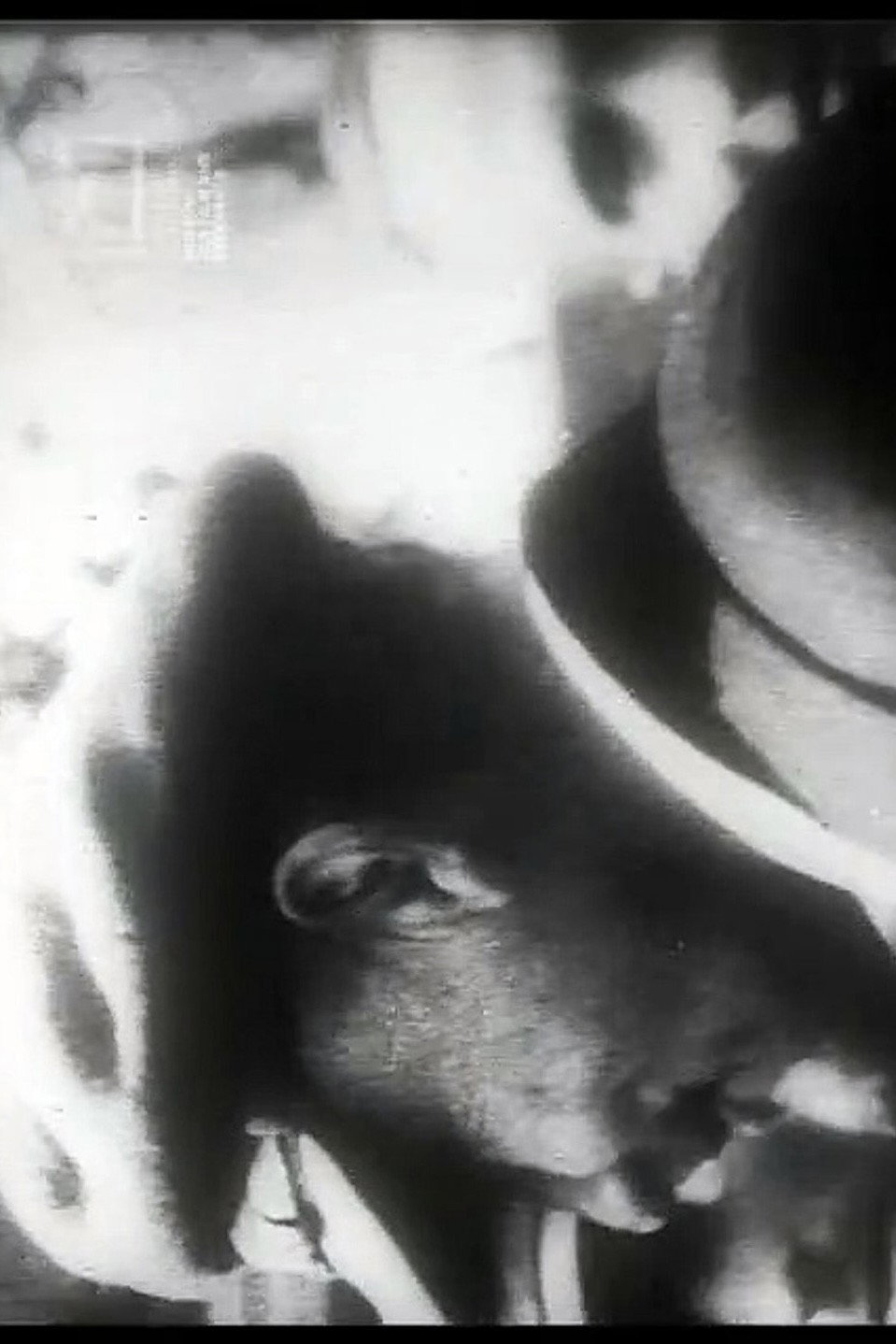 Uns mahnt ein November (1958) poster