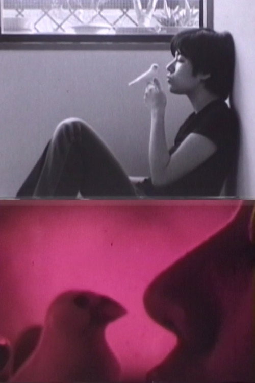 Dedicated to M (2002) poster