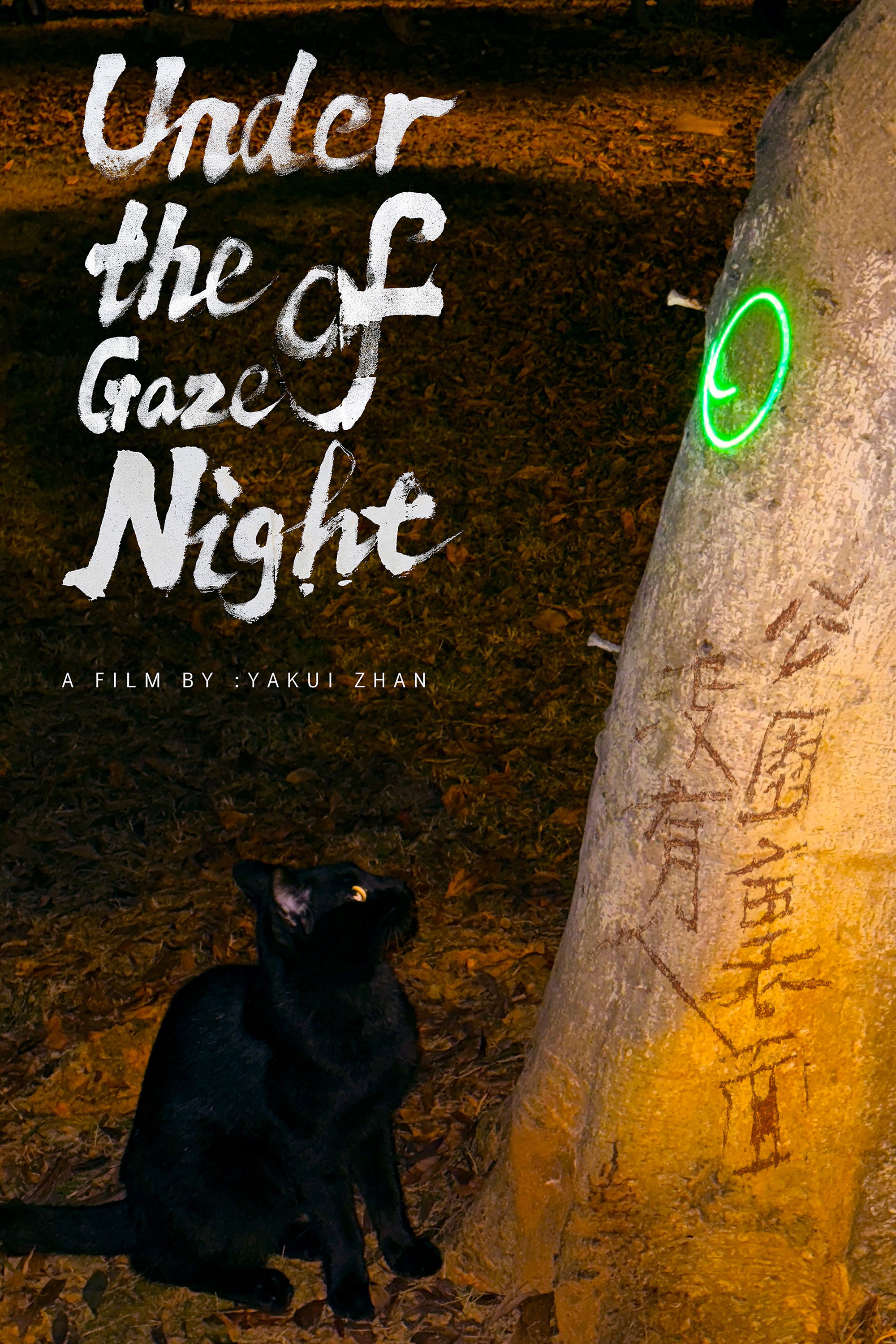 Under the Gaze of Night (2026) poster