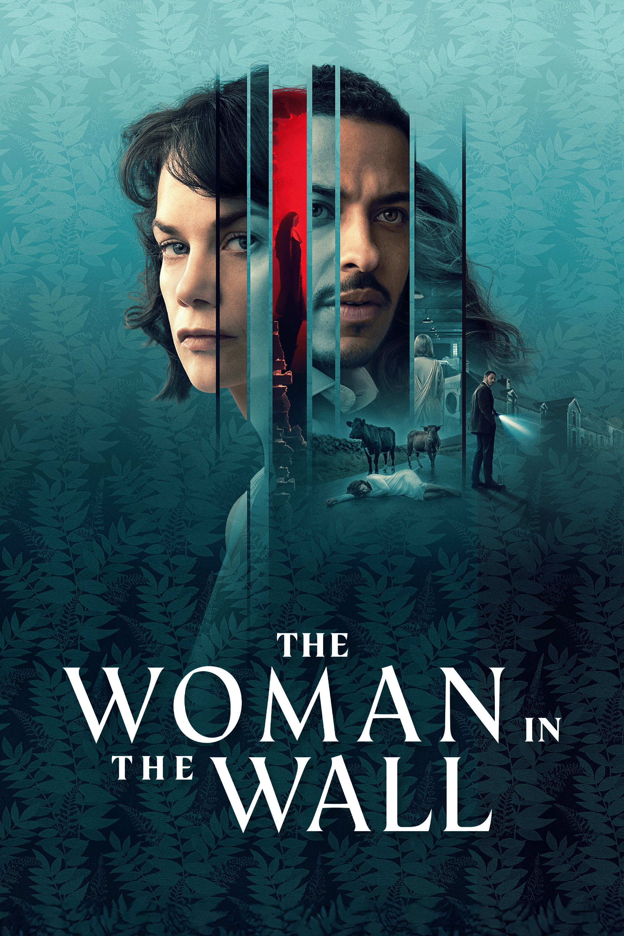 The Woman in the Wall (2023) poster