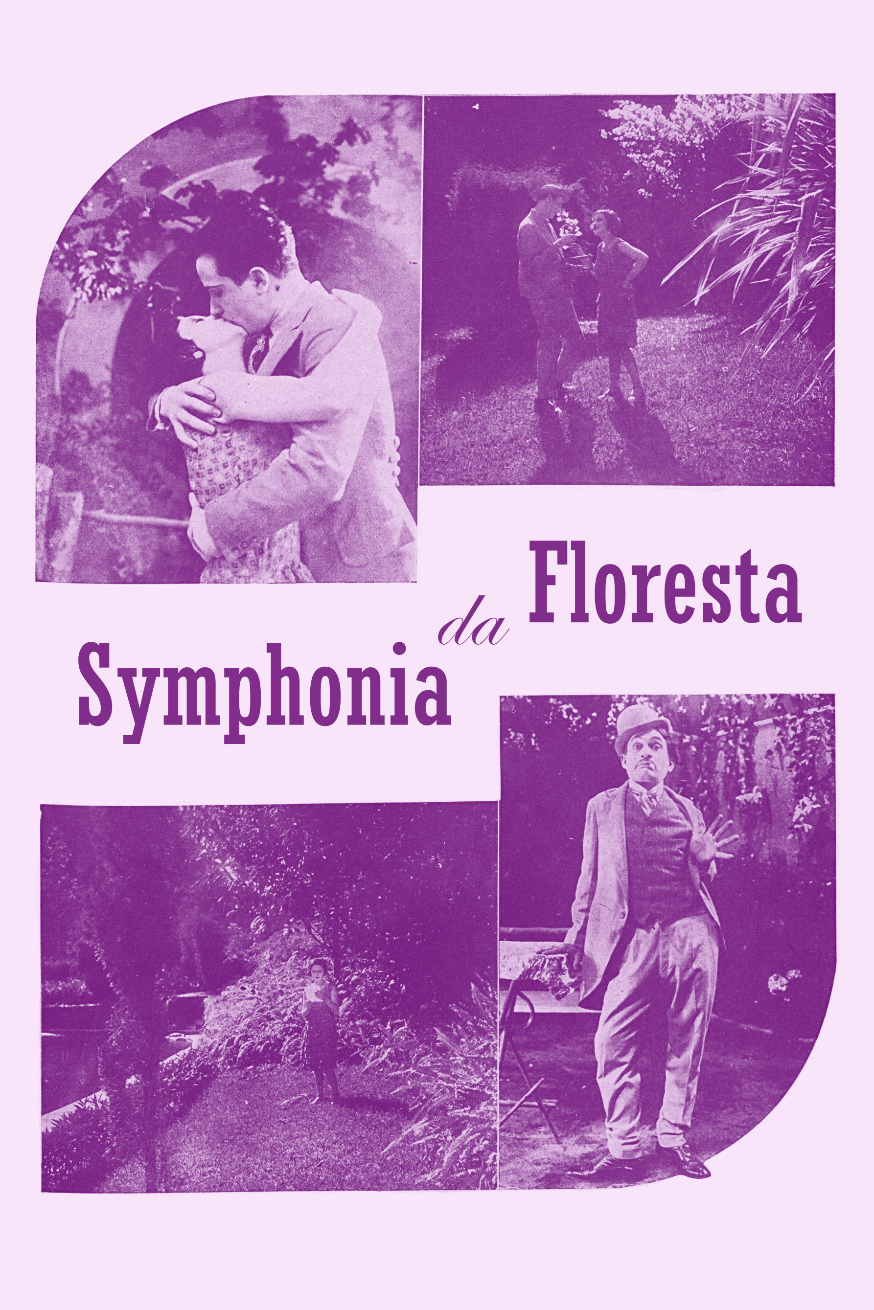 Sinfonia da Floresta (1929) poster