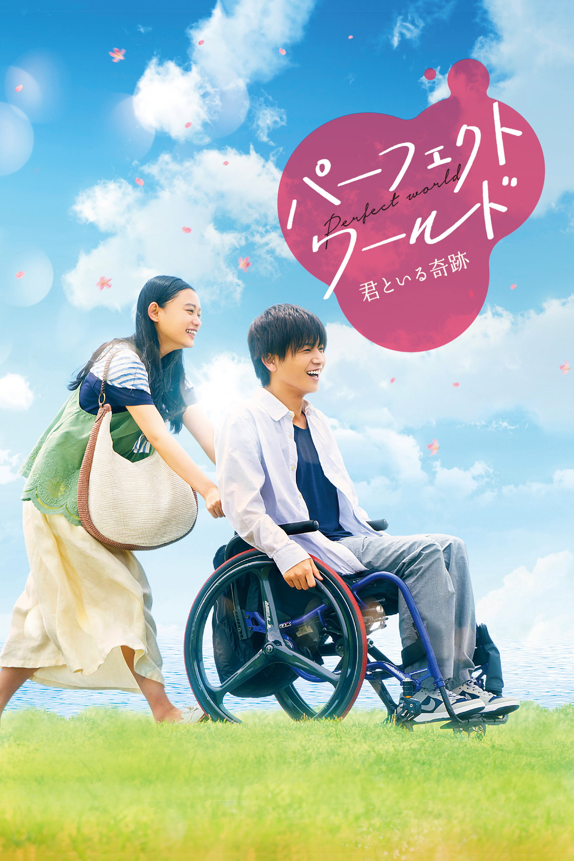 Perfect World (2018) poster
