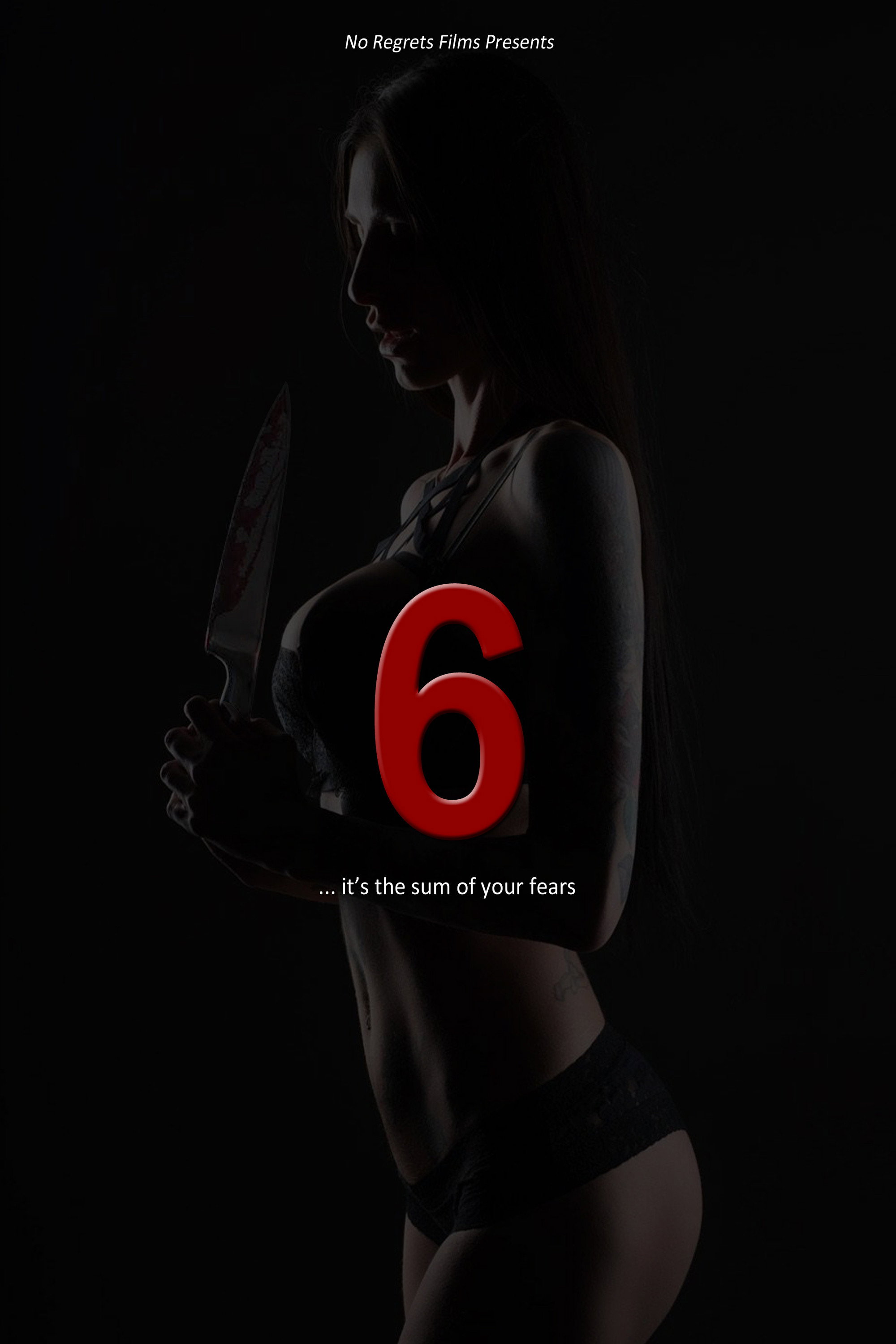 6 (2026) poster