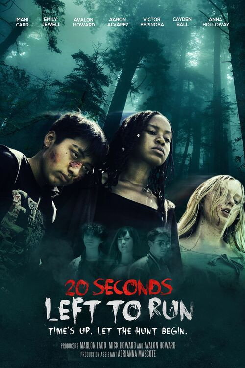 20 Seconds Left to Run (2026) poster