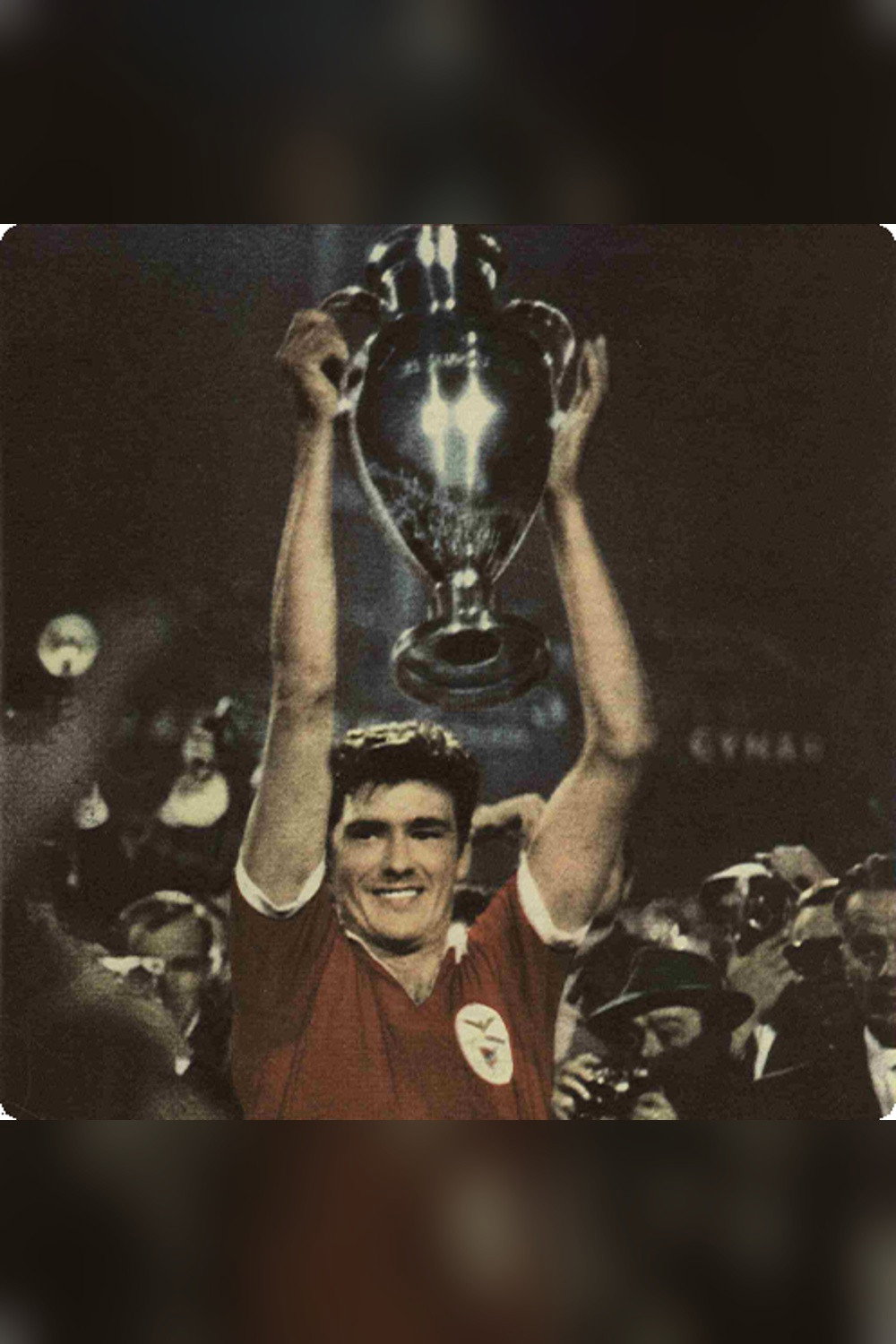 A Conquista da Europa (2011) poster
