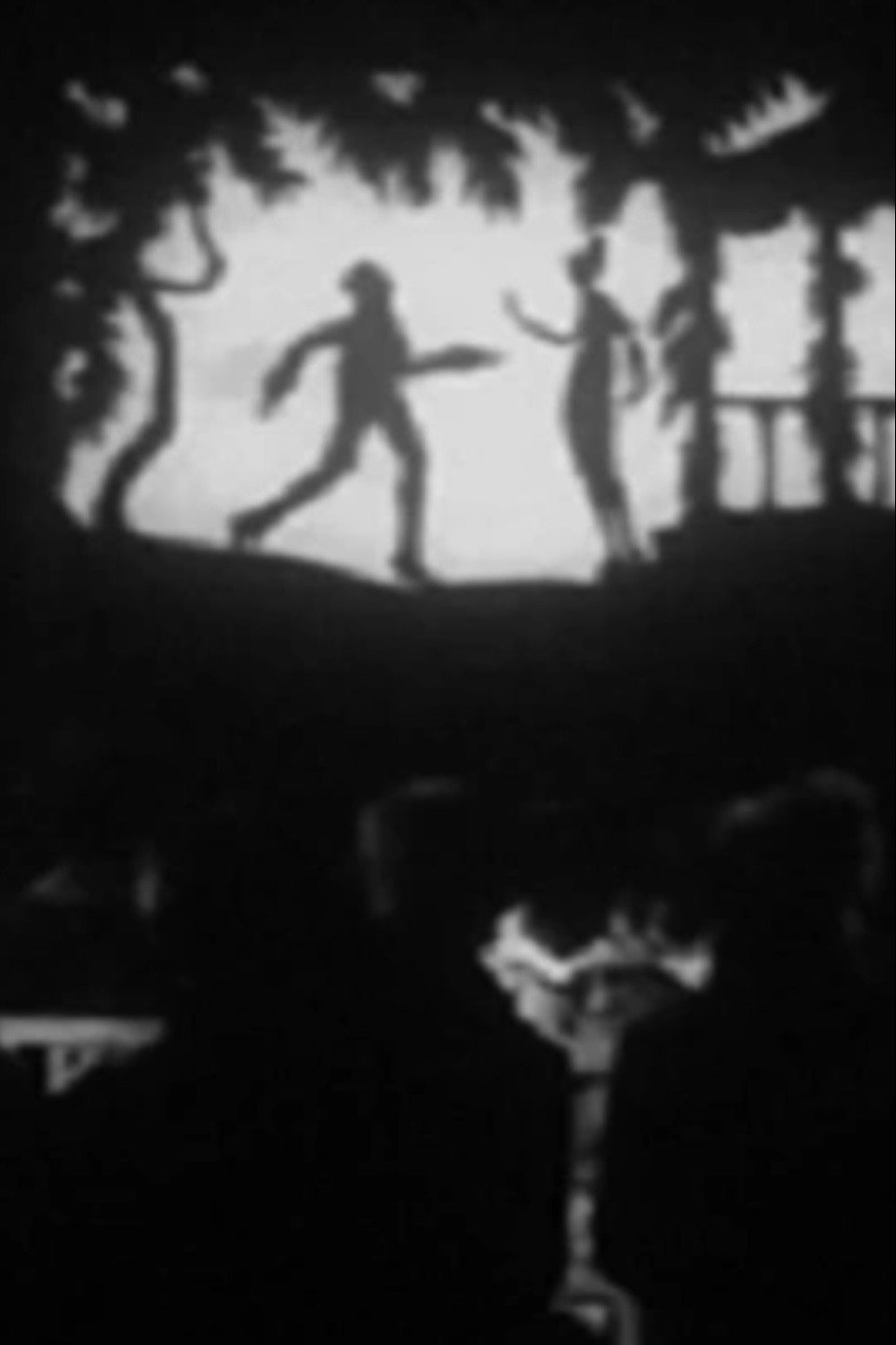 The Lost Shadow (1921) poster
