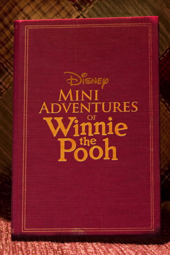 Mini Adventures of Winnie the Pooh (2011) poster