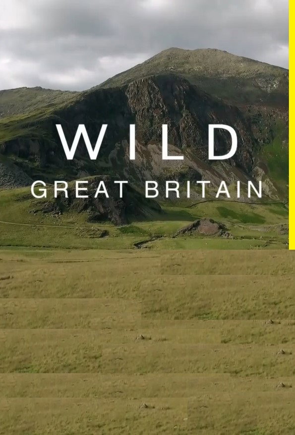 Wild Great Britain (2018) poster