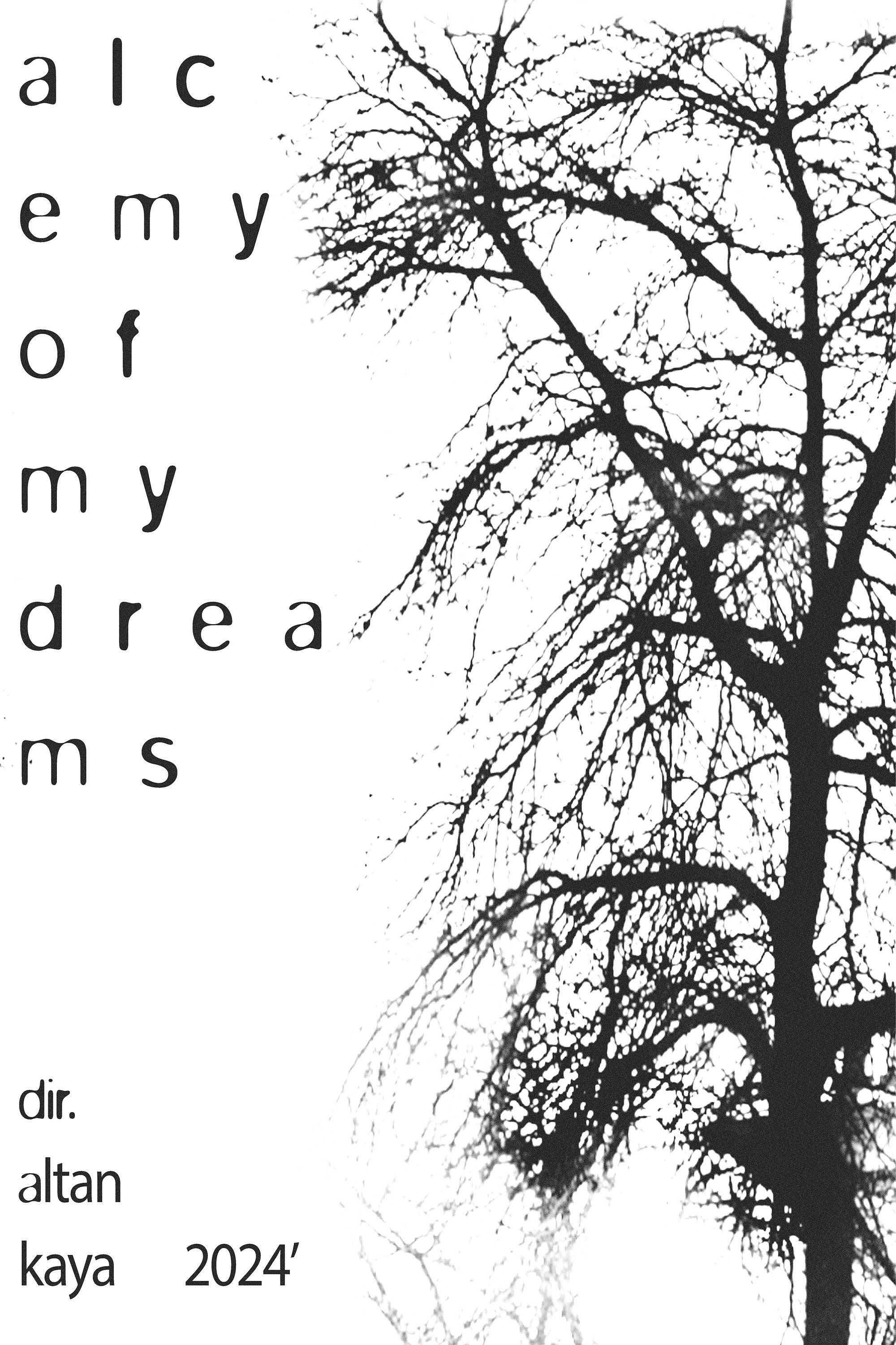 Alchemy of My Dreams (2026) poster