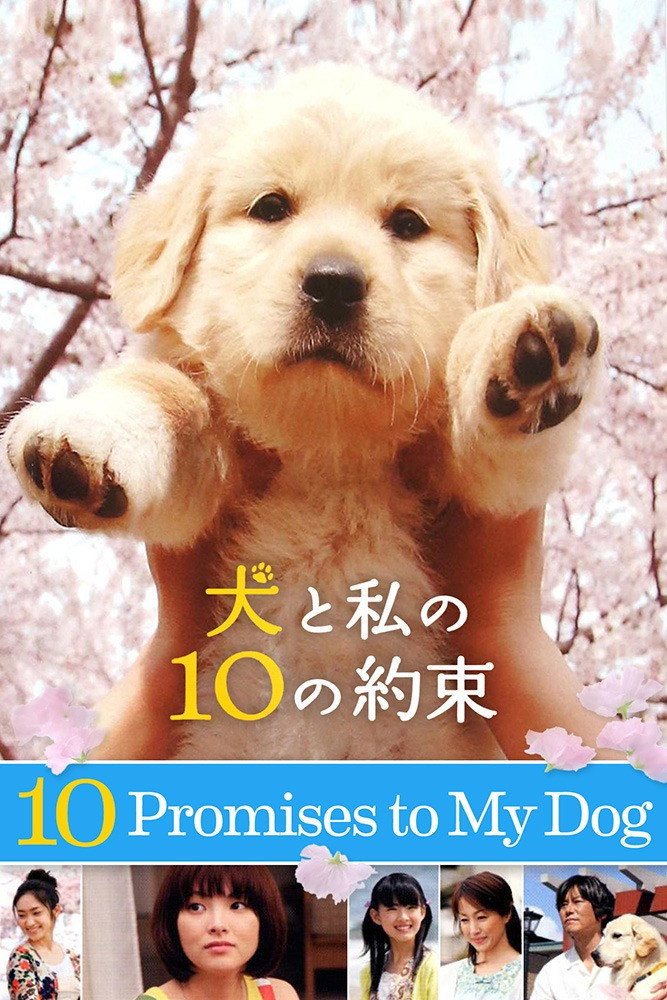 10 Promises to My Dog (2008) poster