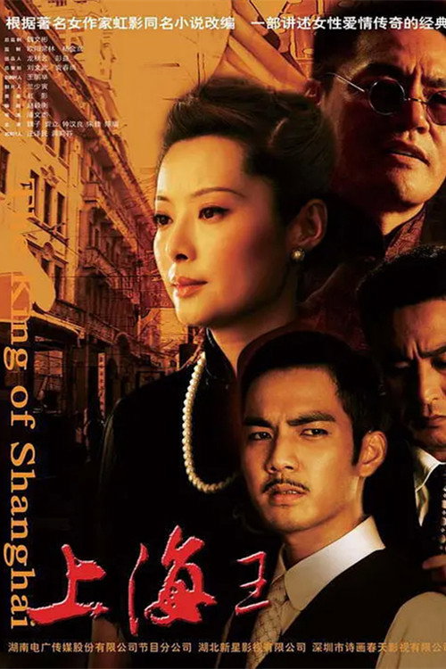 The King of Shanghai (2008) poster