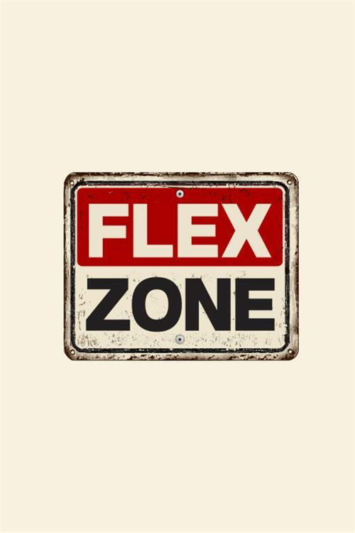 FLEX ZONE (2019) poster