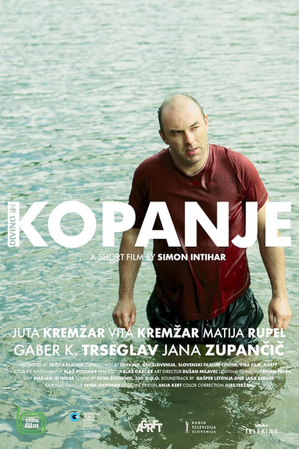 Diving-In (2014) poster