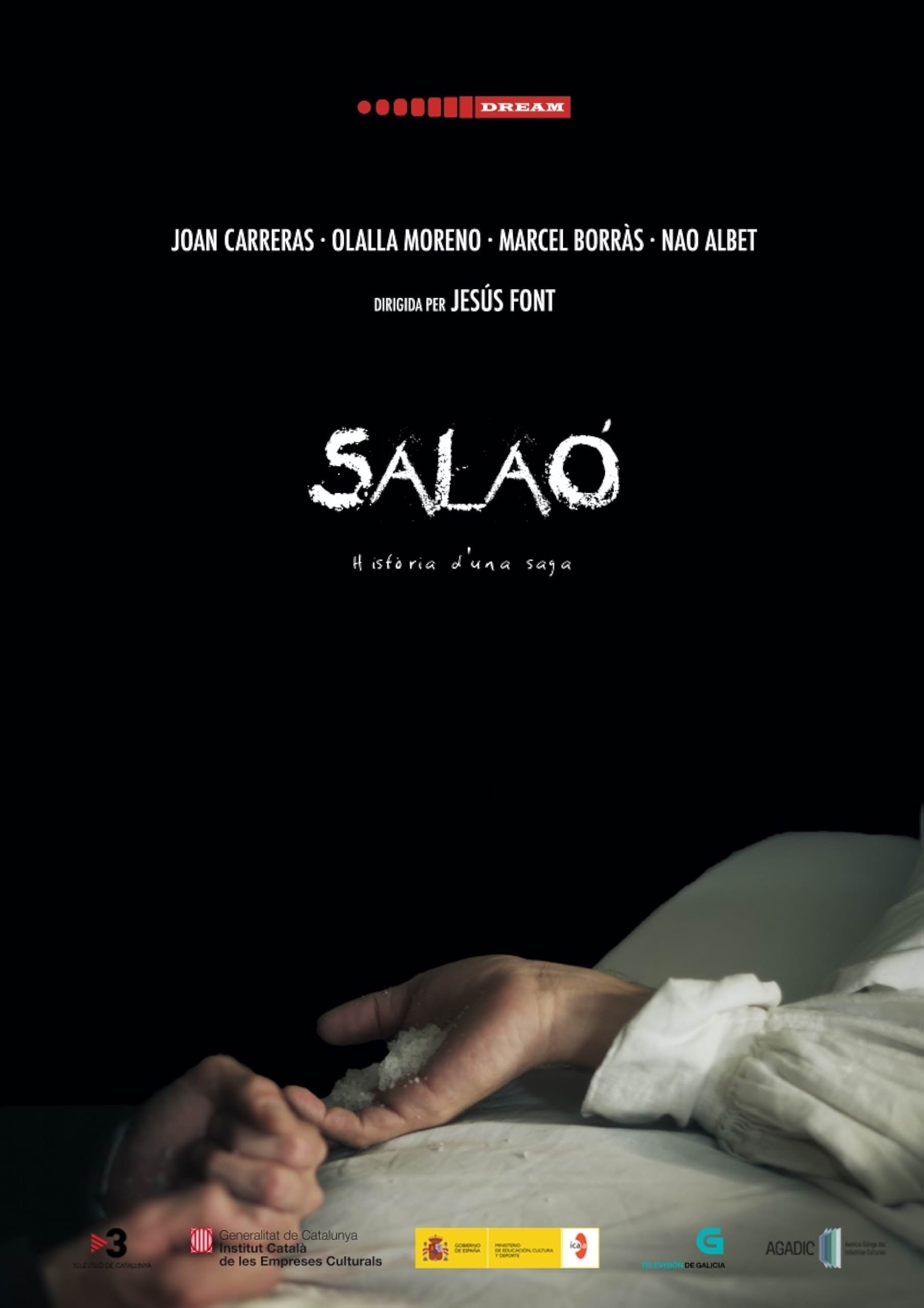 Salaó (2013) poster