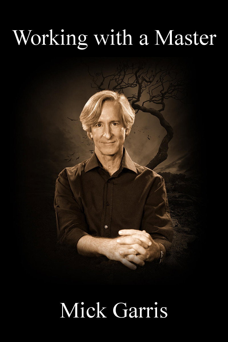 Working with a Master: Mick Garris (2006) poster