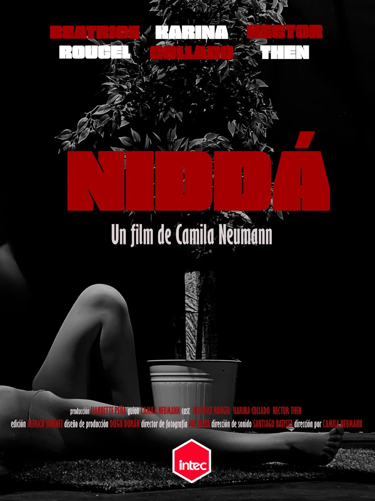 Niddá (2026) poster