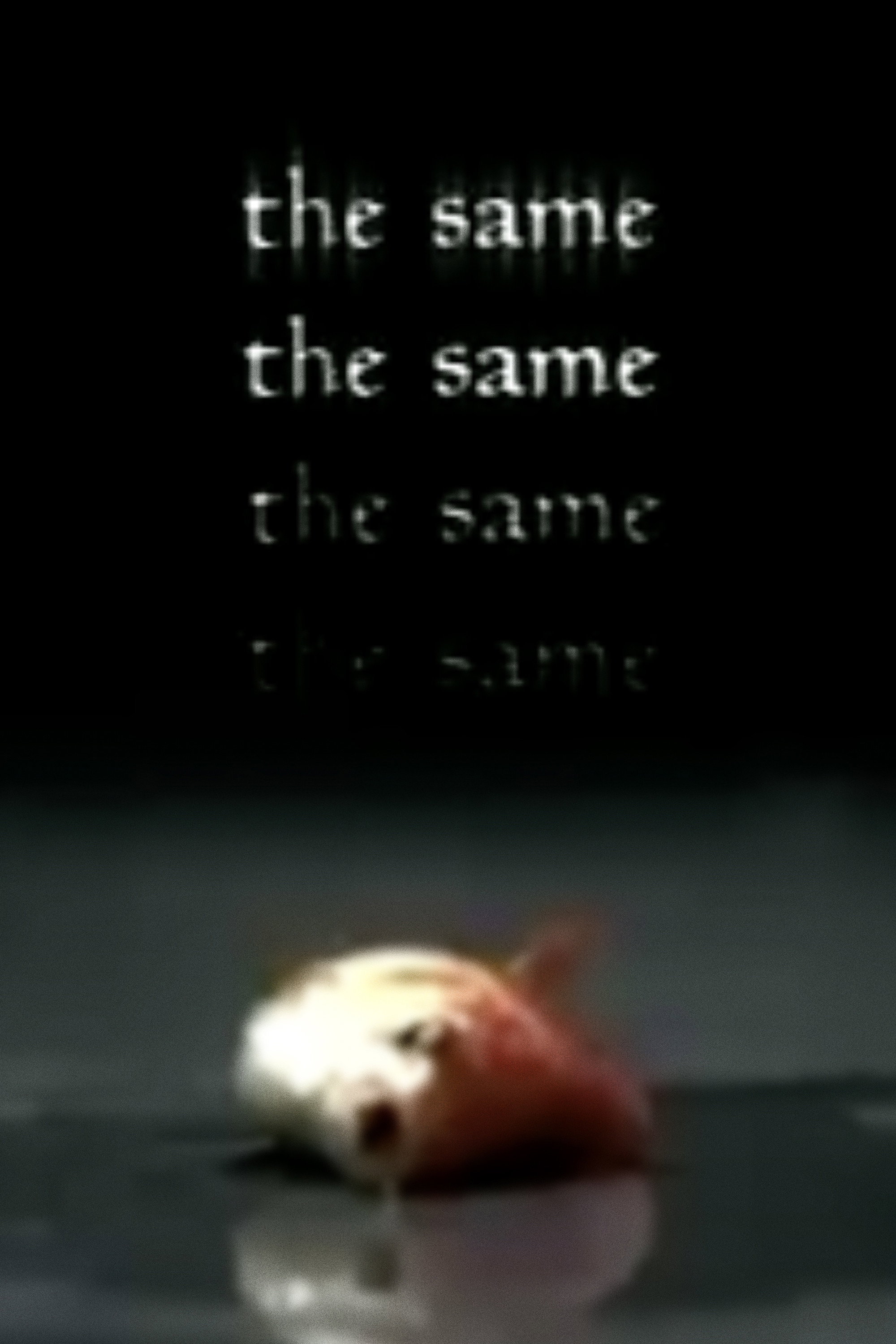 The Same (2001) poster