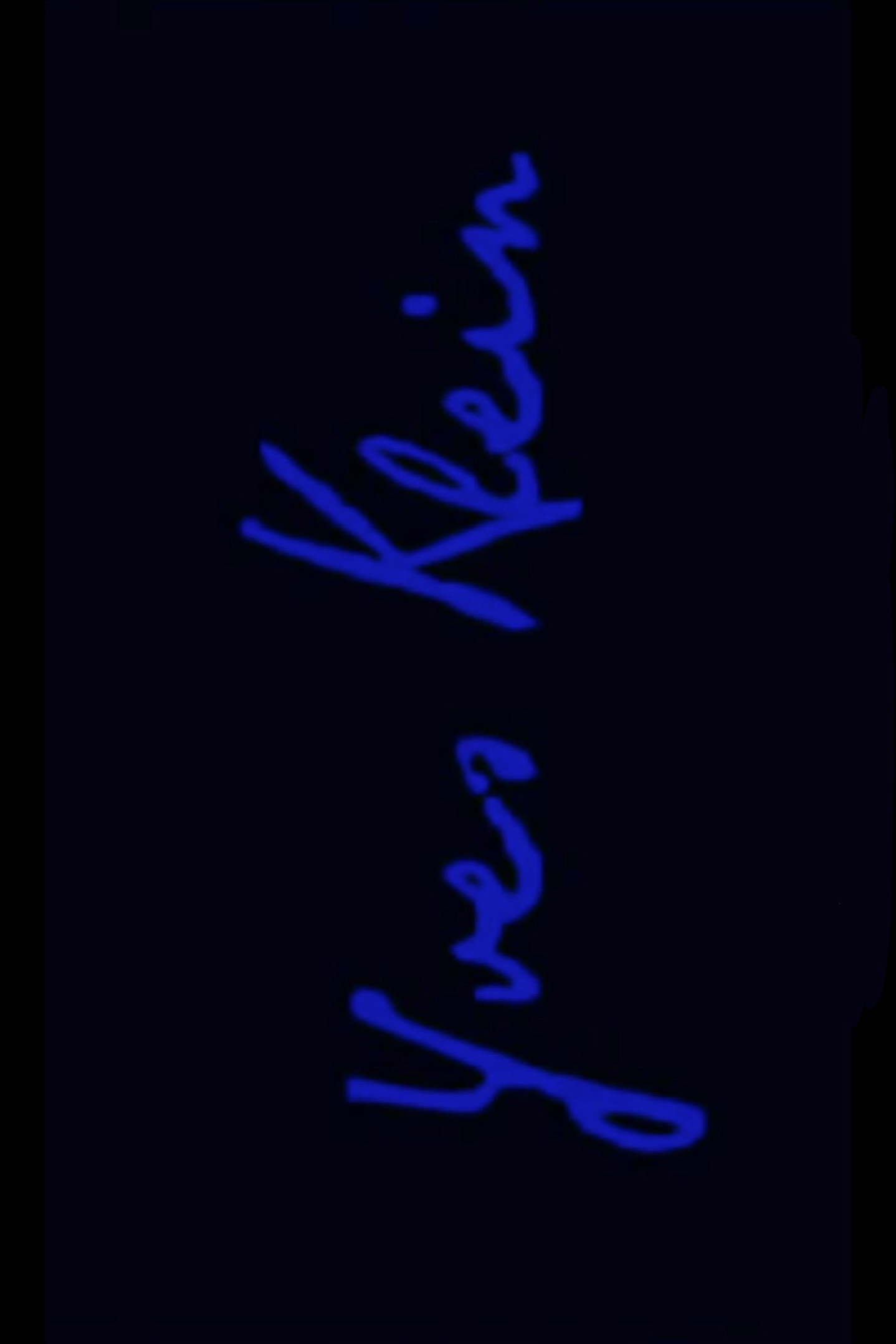 Blue Women Art (2026) poster