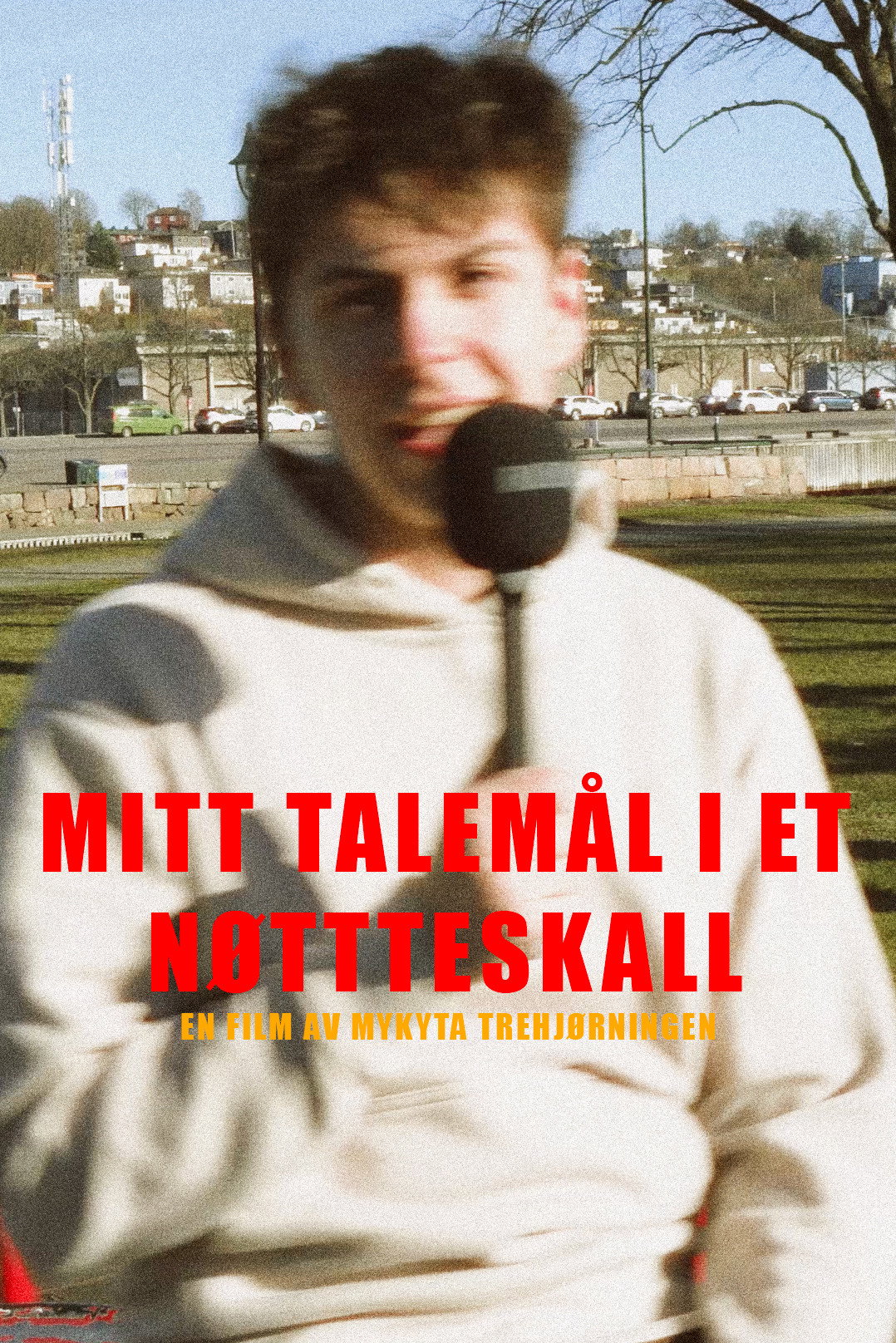 My language in a nutshell (2025) poster