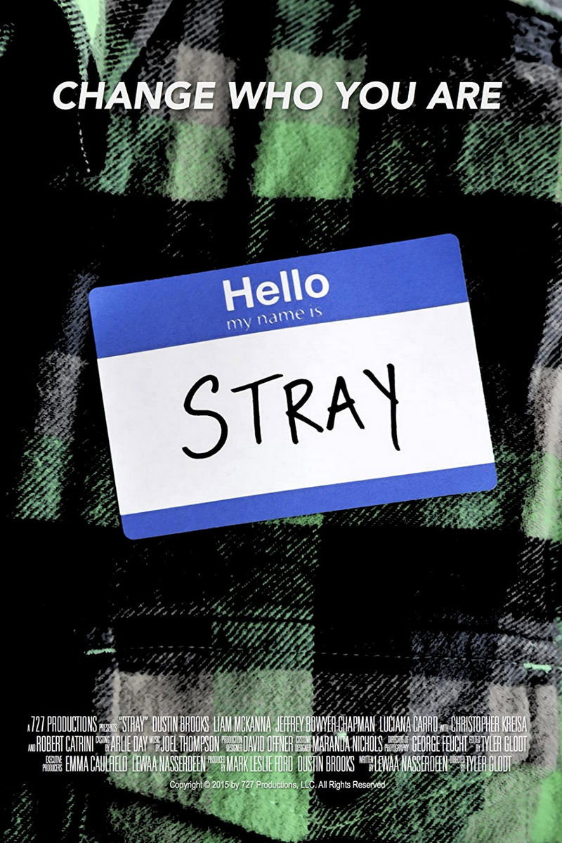 Stray (2015) poster