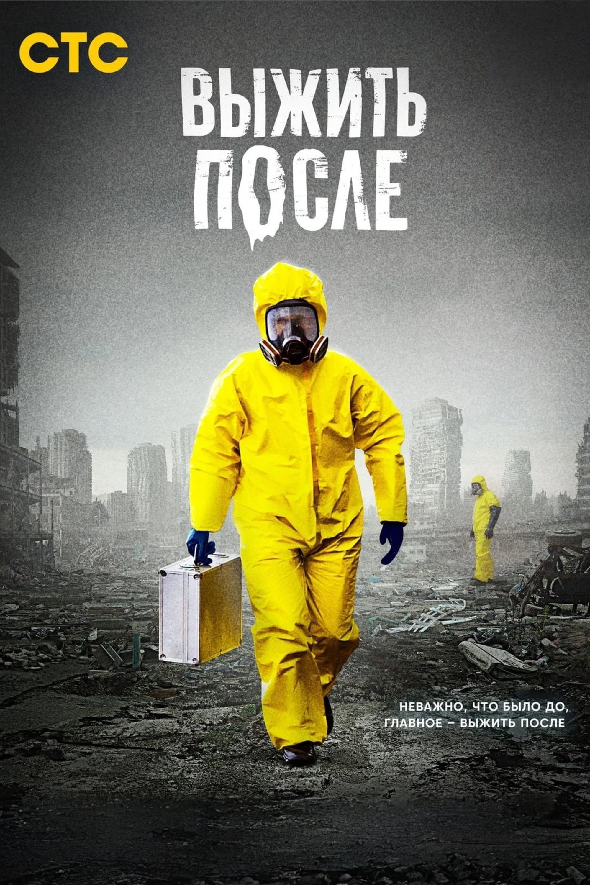 The Day After (2013) poster
