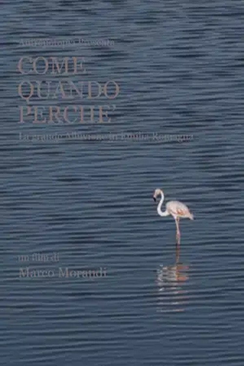 Come quando perché (2024) poster