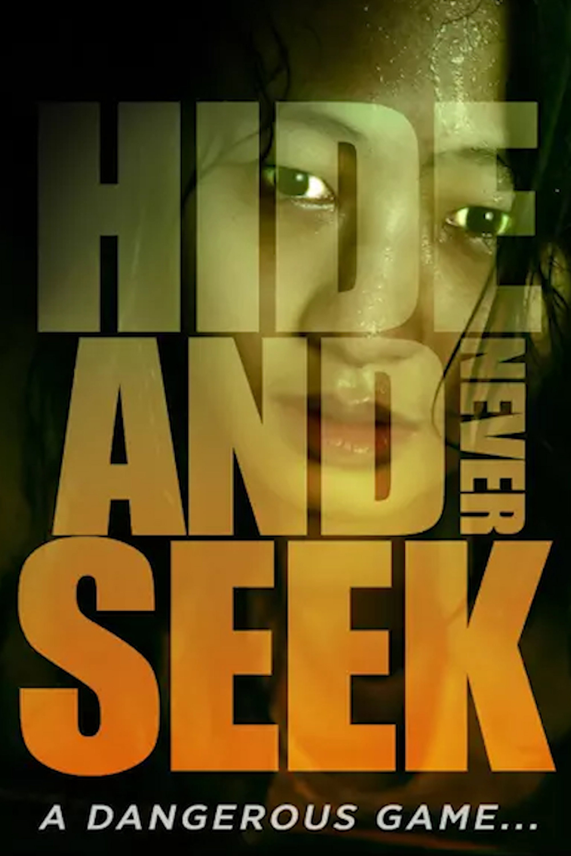Hide-and-Never Seek (2016) poster