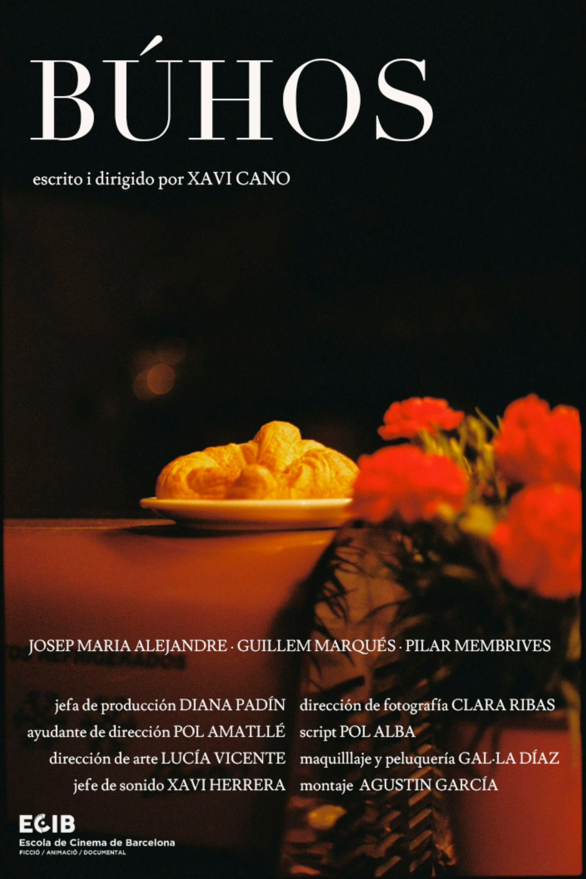 Búhos (2026) poster