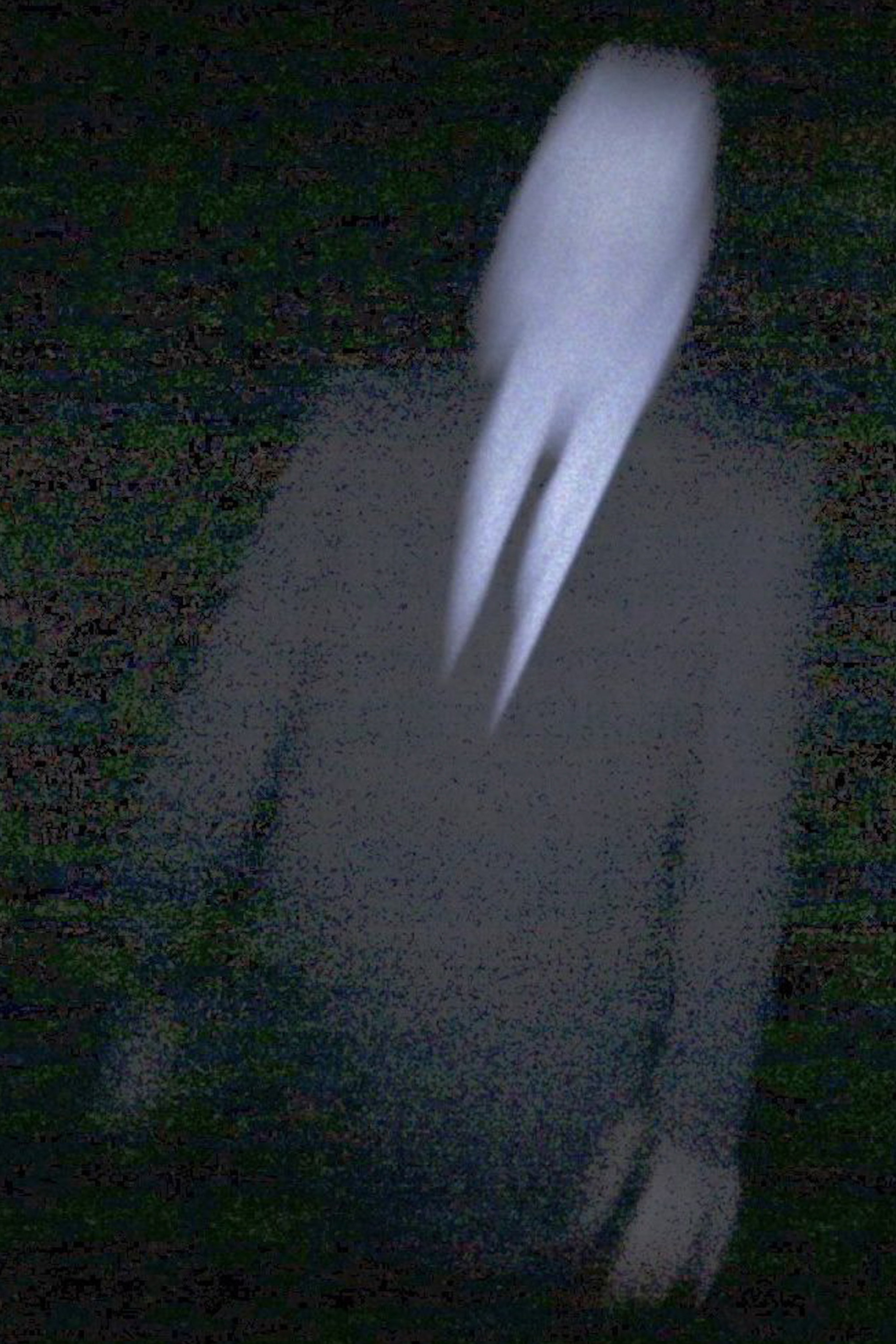Slender Man (2014) poster