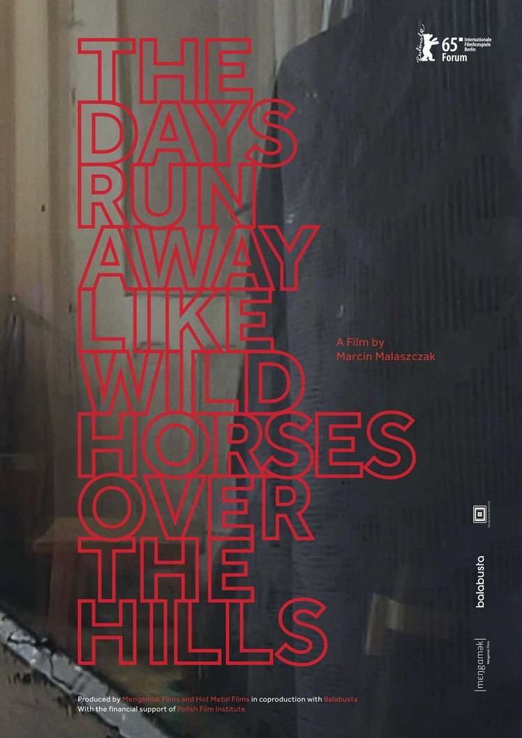 The Days Run Away Like Wild Horses Over the Hills (2015) poster