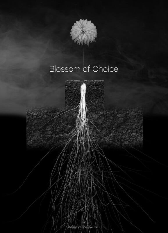 Blossom of Choice (2024) poster