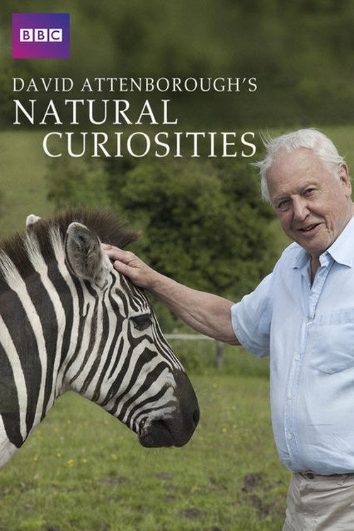 David Attenborough's Natural Curiosities (2013) poster