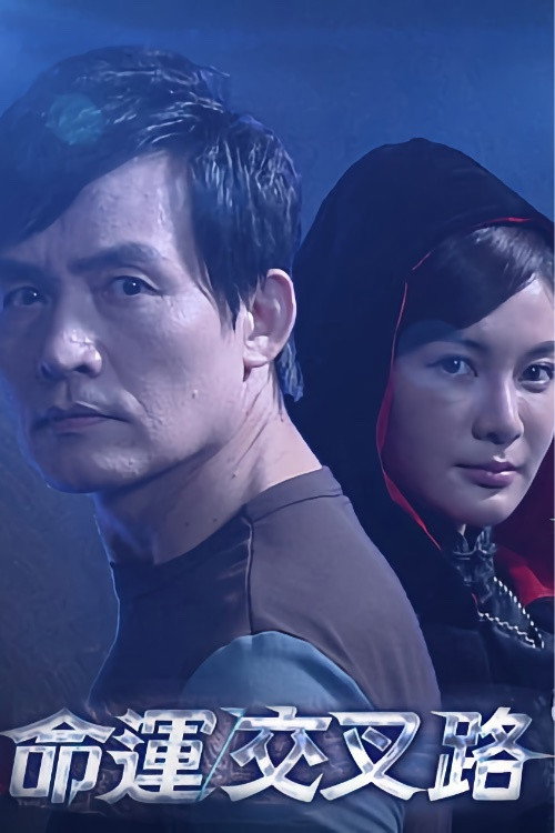 命運交叉路 (2016) poster