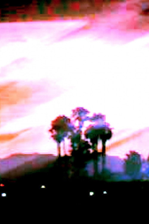 Florida Ghost (2021) poster
