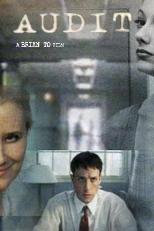Audit (2001) poster