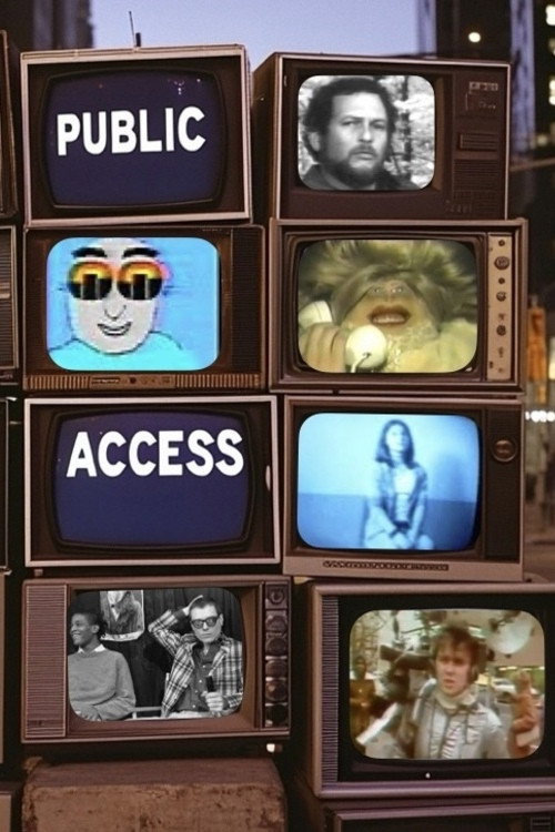 Public Access (2026) poster