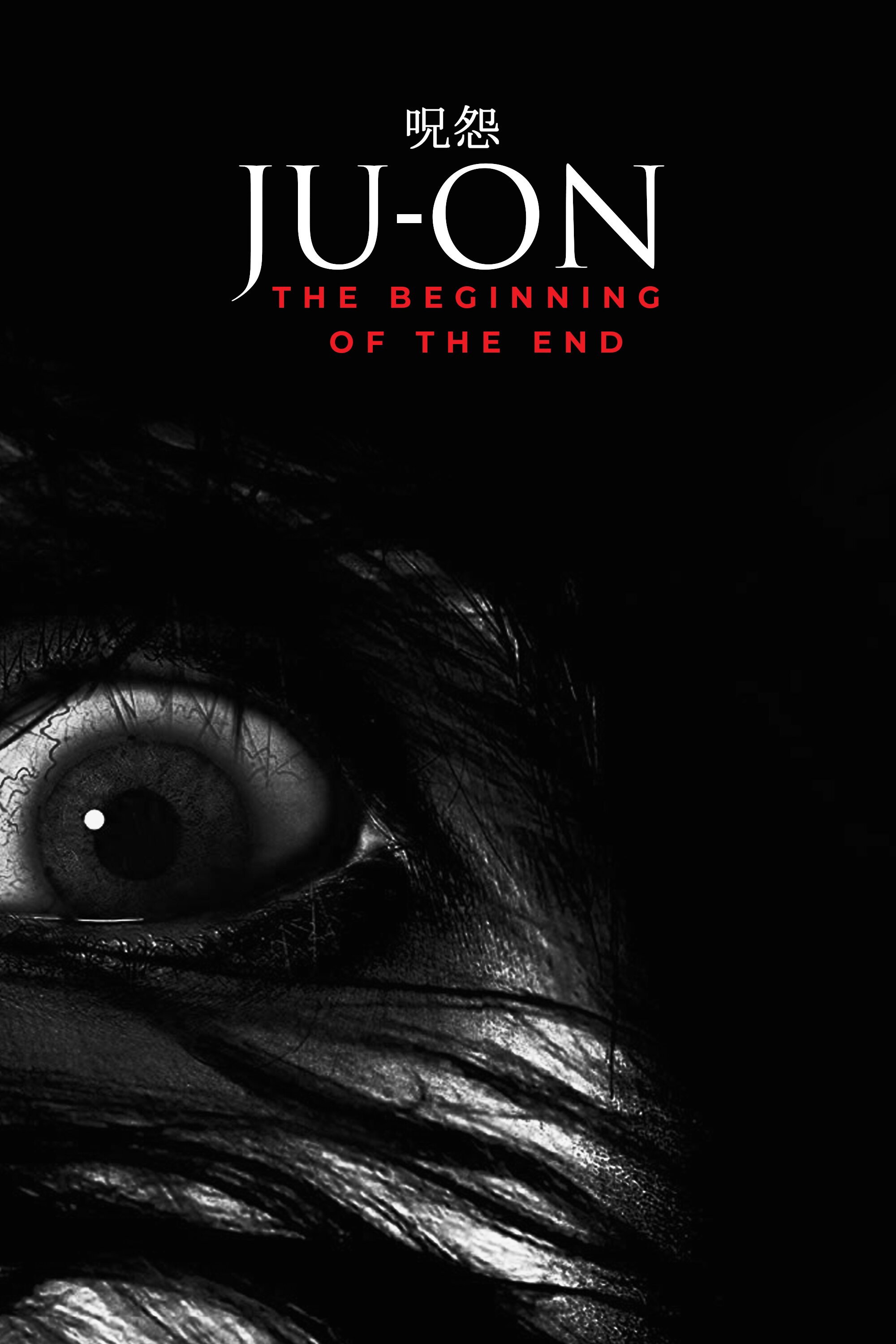 Ju-on: The Beginning of the End (2014) poster