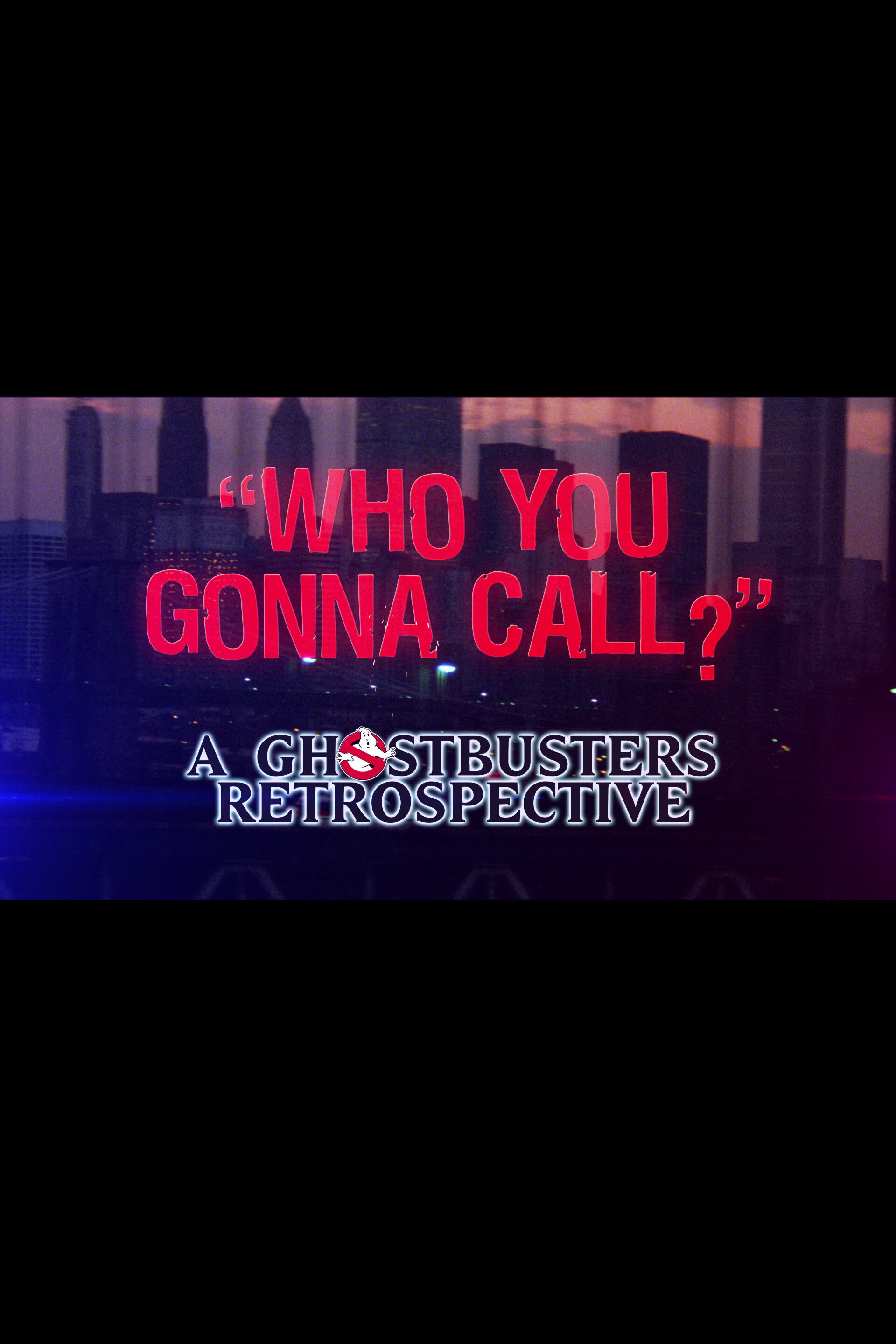 Who You Gonna Call?: A Ghostbusters Retrospective (2014) poster