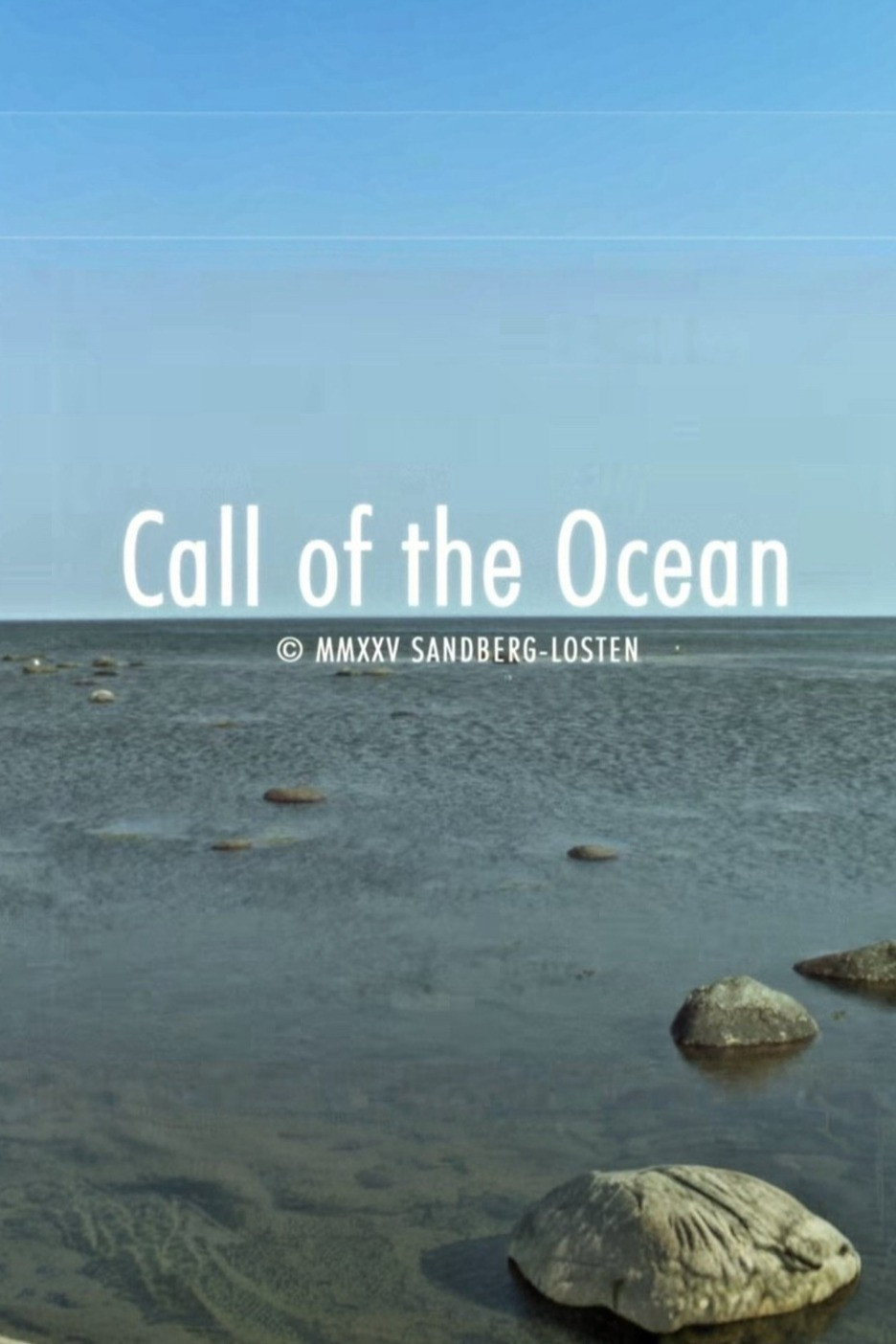 Call of the Ocean (2025) poster