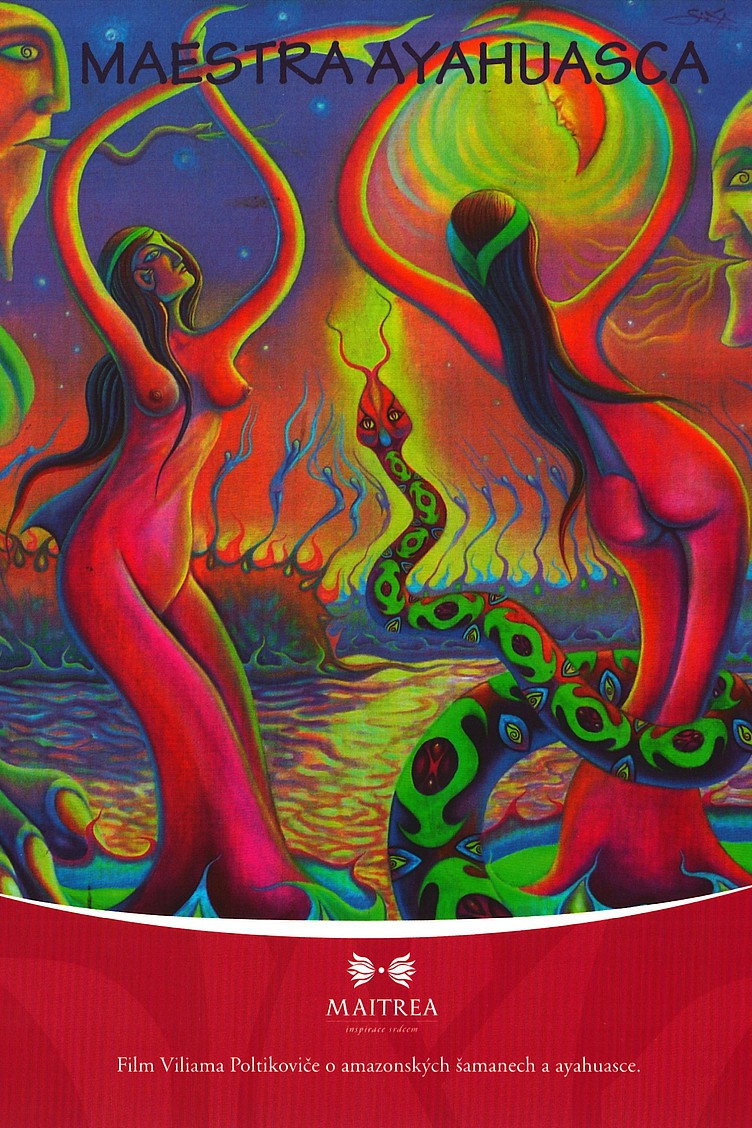 Maestra Ayahuasca (2011) poster