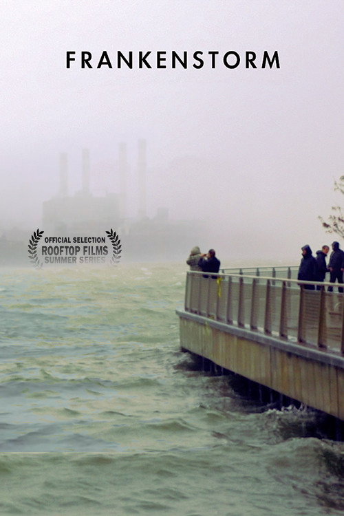 FRANKENSTORM: From Across the East River (2026) poster