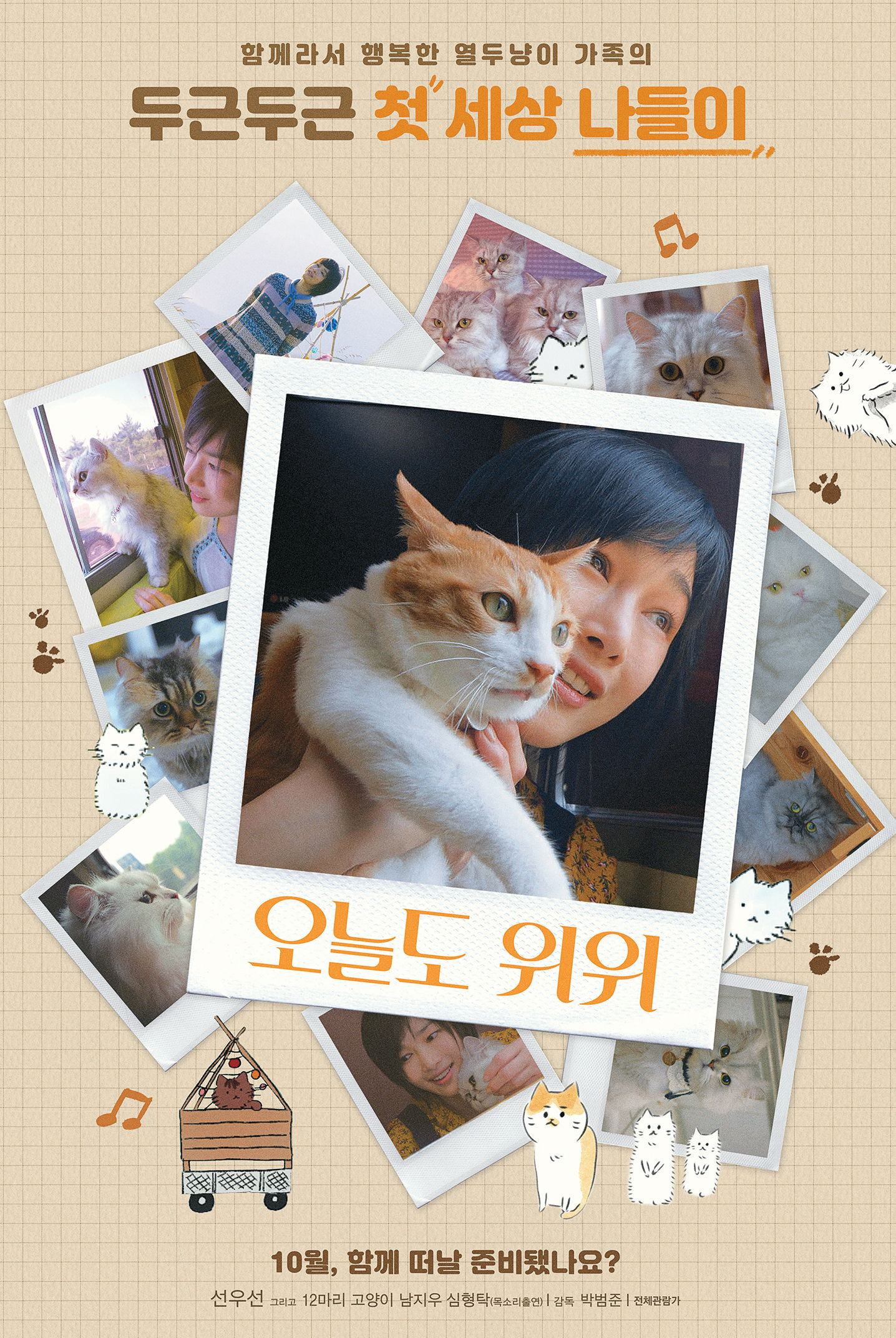 The Journey of the 12 Cats (2019) poster