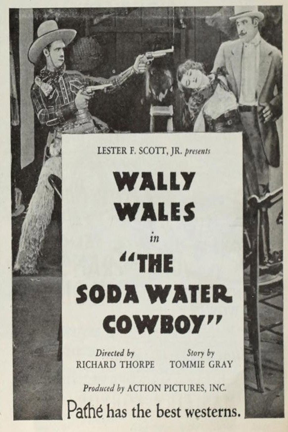 The Soda Water Cowboy (1927) poster