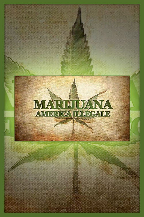Weed Country (2013) poster