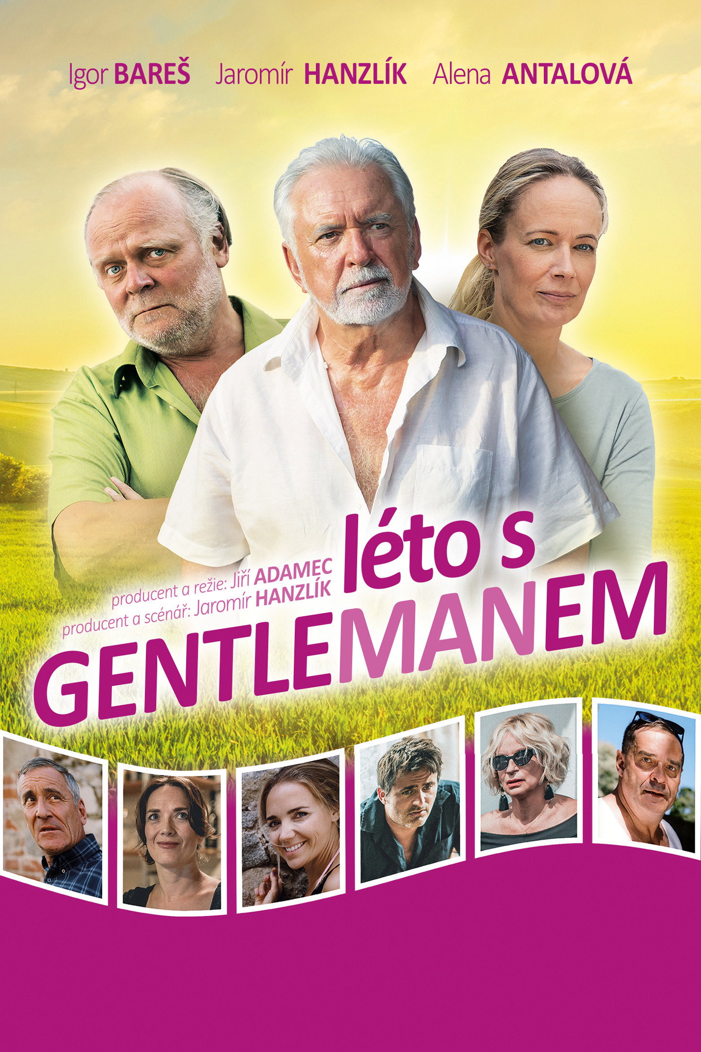Summer with the gentleman (2019) poster