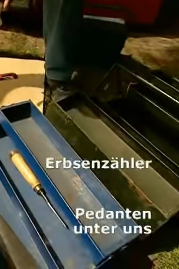 Erbsenzähler - Pedanten unter uns (2006) poster